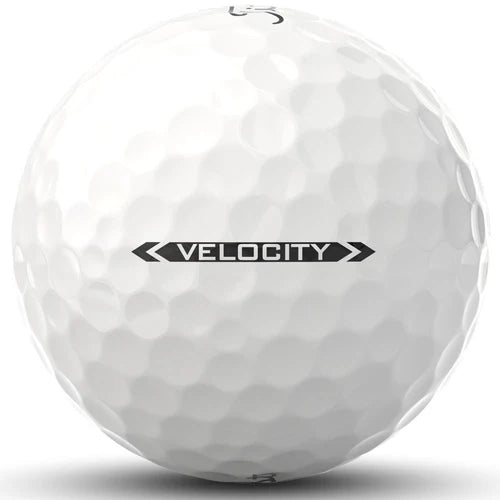 Velocity 2024 1 Dozen - White