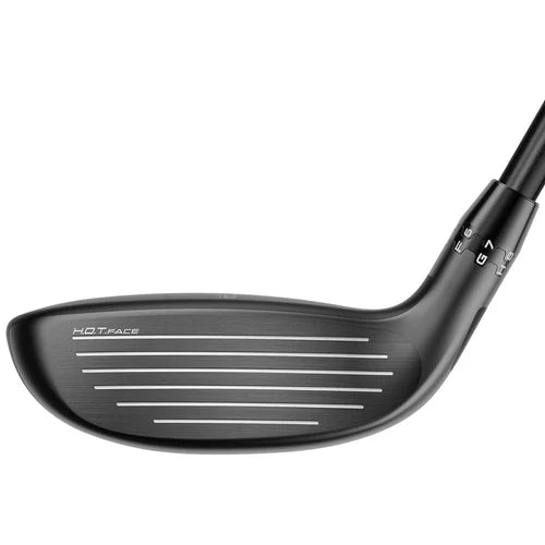 OPTM Hybrid #4