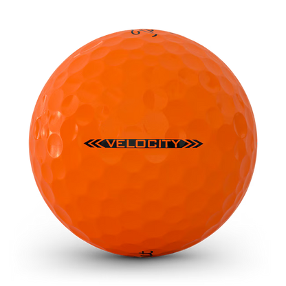 Velocity 2026 Orange 1 Dozen