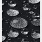 UA Storm Daytona Vest Black/White