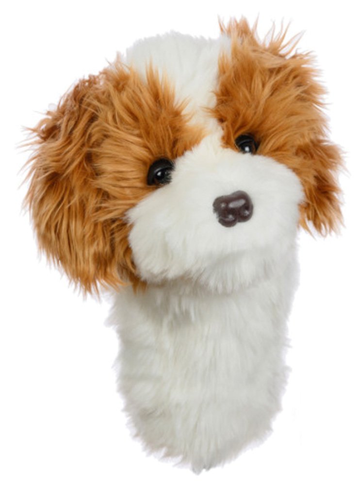 Cavapoo Headcover