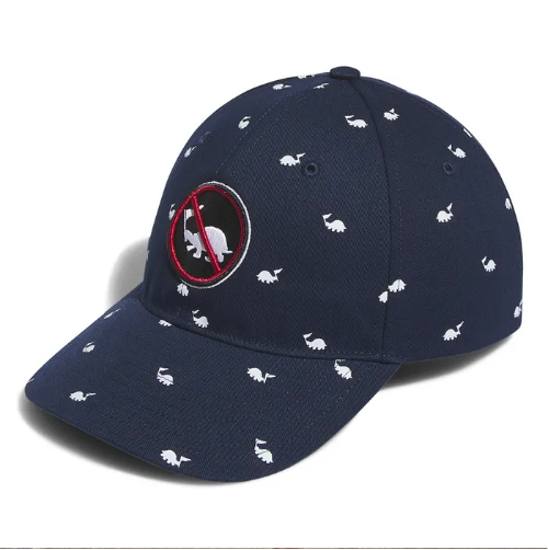 NO SLOW PLAY Cap