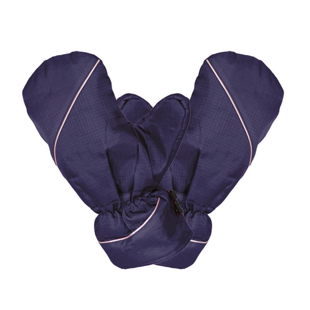 Winter Mitts